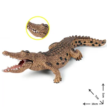 Детски играчки Оригинален модел Диво Животно Имитация на Крокодилска кожа Начална образование Когнитивно Украса Твърда Статични модели